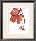 Buy Red Bud at AllPosters.com