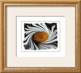Buy Coup de Foudre IV at AllPosters.com