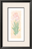 Buy Iris Soliloquy I at AllPosters.com