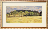 Buy Buck Run Willows at AllPosters.com