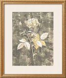 Buy Silver Rose II at AllPosters.com