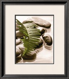 Buy Spring Retreat I at AllPosters.com