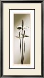 Buy Anthurium at AllPosters.com