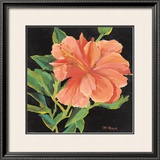 Orange Flower