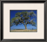 Buy Mali at AllPosters.com