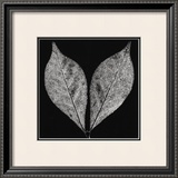 Buy Simplicity at AllPosters.com