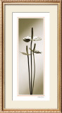 Buy Anthurium at AllPosters.com