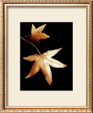Buy Double Maple Leaf at AllPosters.com
