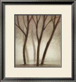 Buy Forest II at AllPosters.com