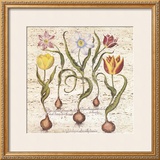 Travertine Botanicals I