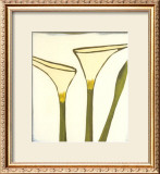 Buy Arum, c.2003 at AllPosters.com