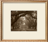 Buy Oak Alley at AllPosters.com