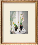 Buy Amaryllus I at AllPosters.com
