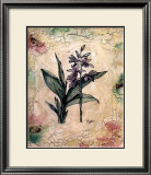 Buy Daffodils at AllPosters.com