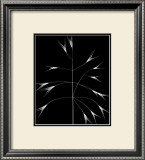 Wild Grasses III
