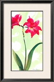 Buy Asian Lily at AllPosters.com