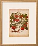 L'Herbier I