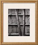 Buy Bamboo and Wall at AllPosters.com