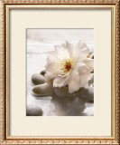 Buy Spring Retreat IV at AllPosters.com