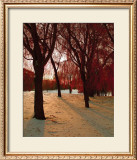 Buy Autumn Snow II at AllPosters.com