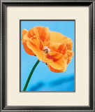 Buy Perfect Day at AllPosters.com