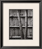 Buy Bamboo and Wall at AllPosters.com