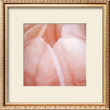 Buy Tulip Trio I at AllPosters.com