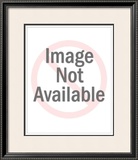 Buy Fleurs St. Germain at AllPosters.com