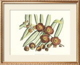 Buy Botanical I at AllPosters.com