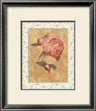 Buy Antique Peony II at AllPosters.com