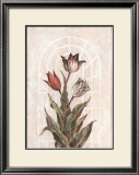 Buy Tulip Companion I at AllPosters.com