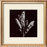 Buy Simplicity at AllPosters.com
