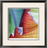 Banana Leaves III