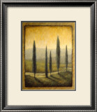 Buy Morning Path I at AllPosters.com