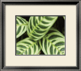 Buy Springtime I at AllPosters.com