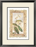 Buy Orchid at AllPosters.com