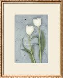Buy Tulips at AllPosters.com