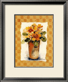 Primrose II