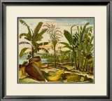 Buy Tropical Fruits II at AllPosters.com