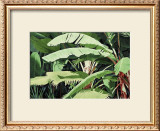 Buy Tropical Harmony at AllPosters.com