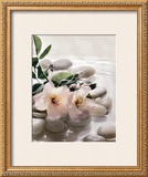 Buy Spring Retreat III at AllPosters.com
