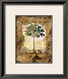 Buy Lace and Papaya at AllPosters.com