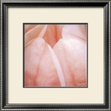 Buy Tulip Trio I at AllPosters.com