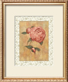 Buy Antique Peony II at AllPosters.com