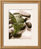 Buy Spring Retreat I at AllPosters.com
