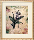 Buy Daffodils at AllPosters.com