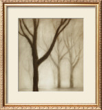 Buy Forest I at AllPosters.com