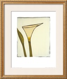 Buy Arum, c.2003 at AllPosters.com
