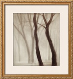 Buy Forest III at AllPosters.com