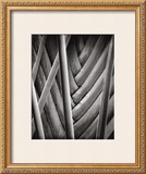 Buy Palm Pattern at AllPosters.com